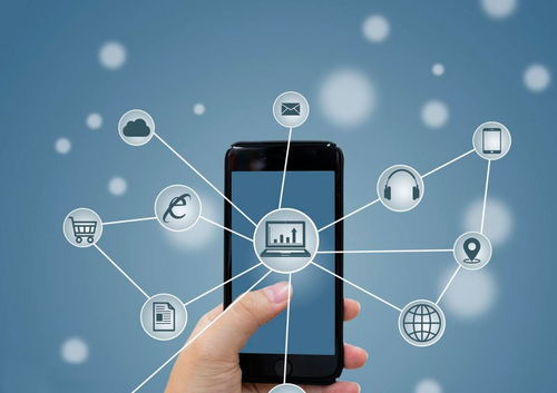 廢舊物資搭上互聯網快車，搖變“香餑餑”